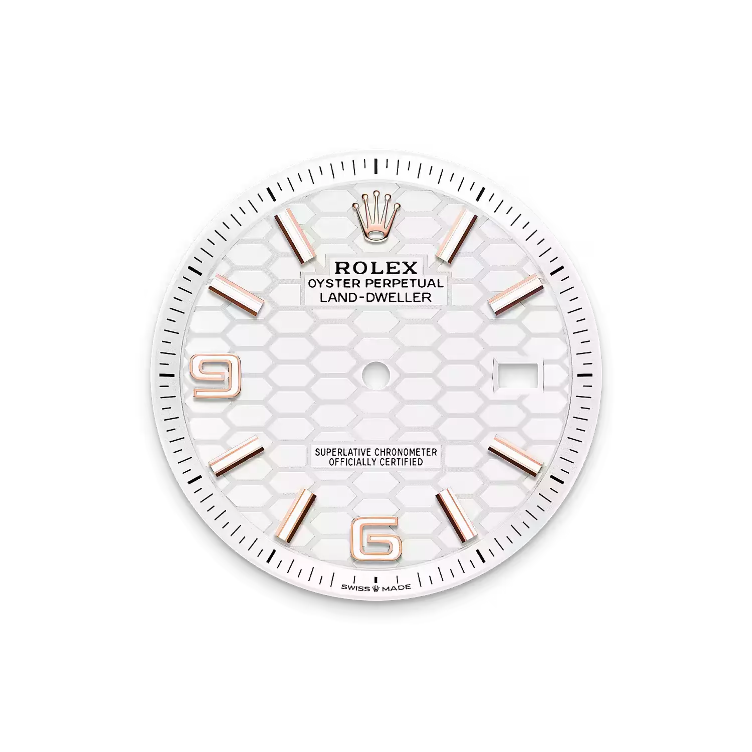 Land-Dweller 40, Oyster, 40 mm, Everose gold  Reference 127335