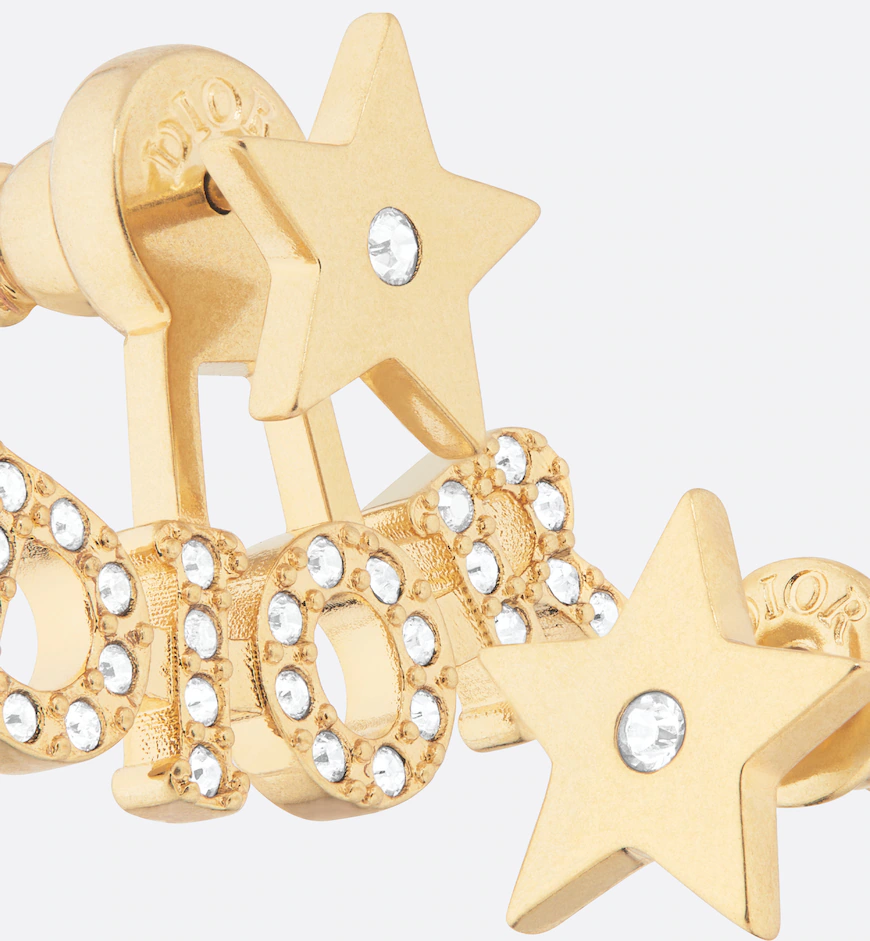 Evolution Earrings