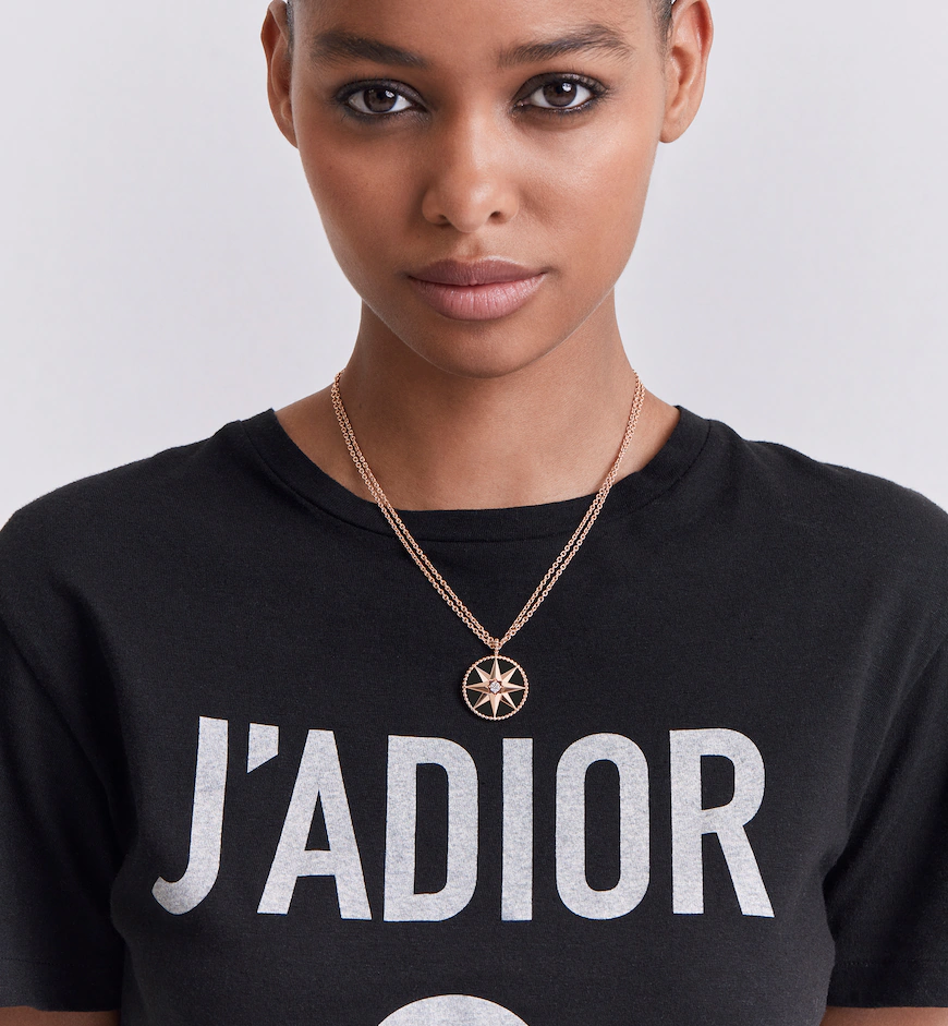 Large Rose des Vents Medallion