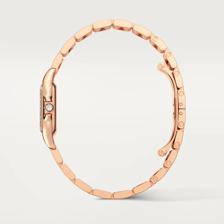 PANTH??RE DE CARTIER WATCH