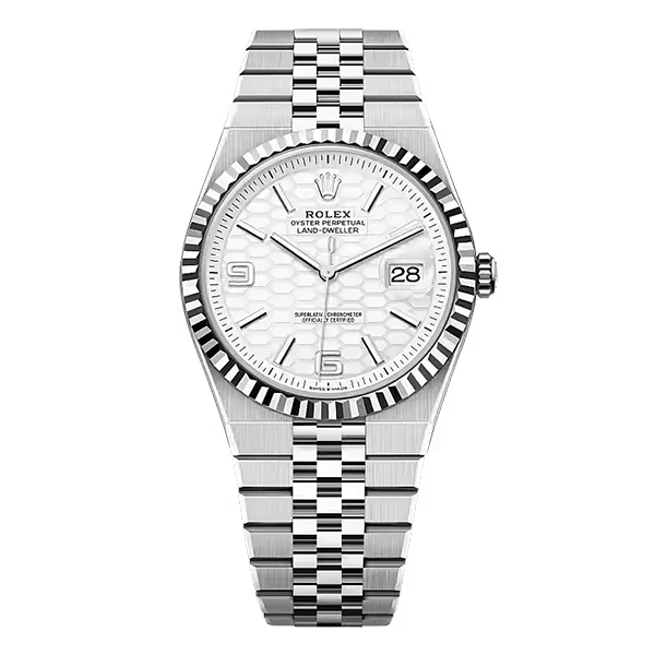 Land-Dweller 36, Oyster, 36 mm