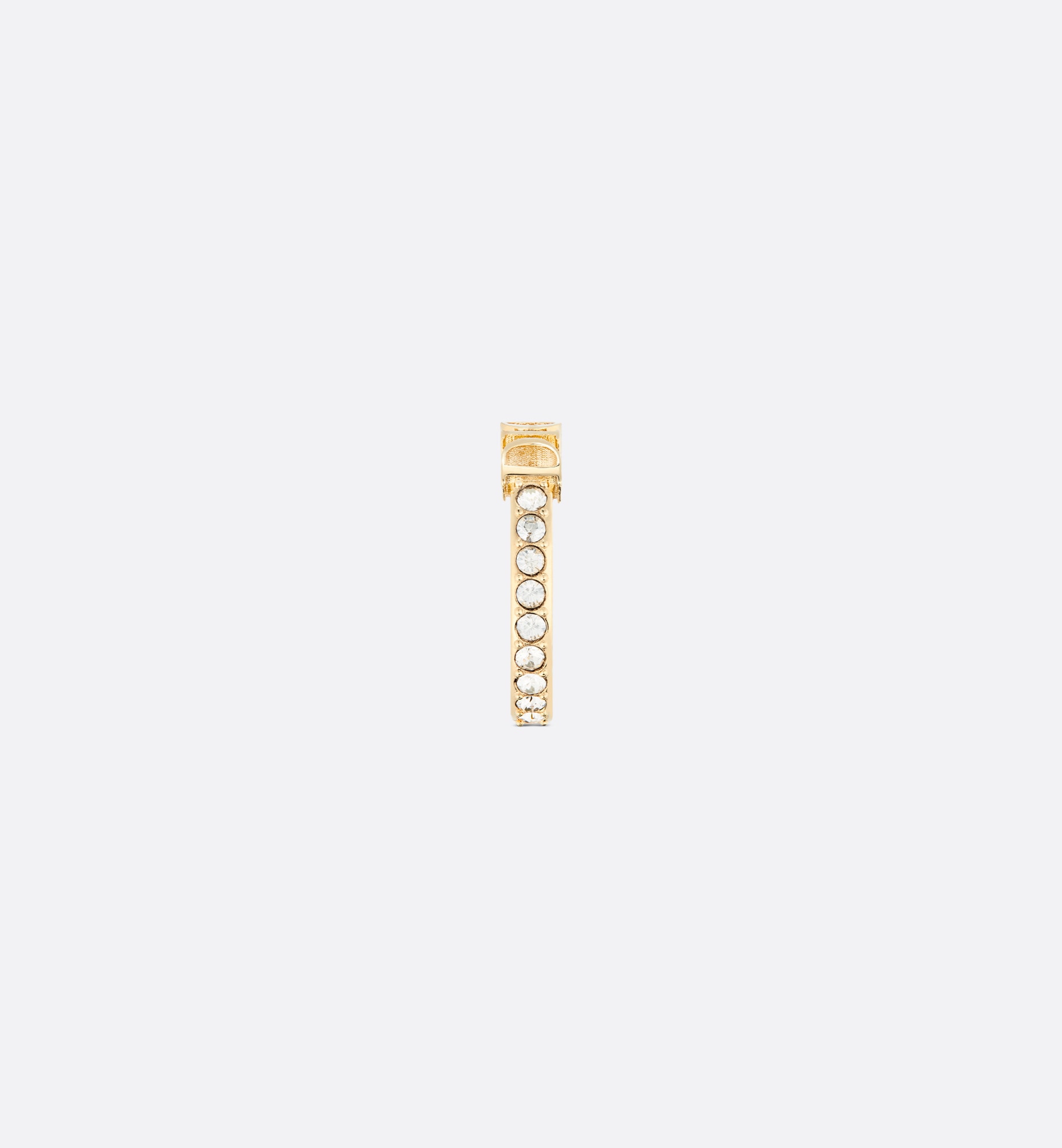 Evolution Ring