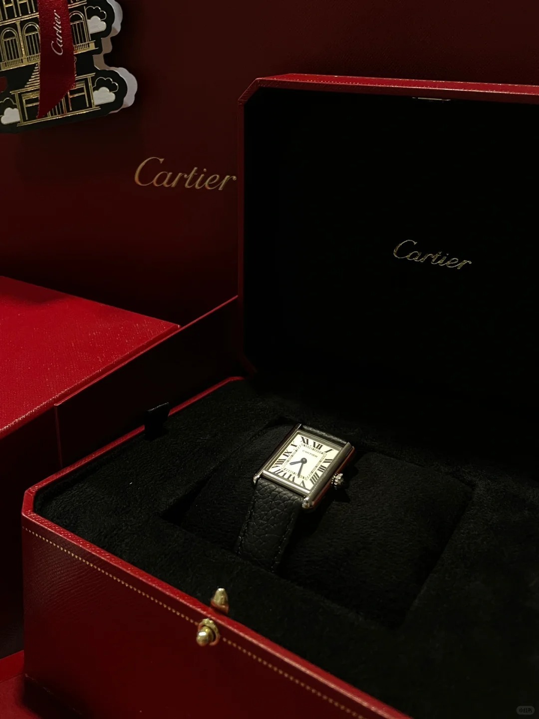 TANK MUST SOLARBEAT™ WATCH,SMALL MODEL