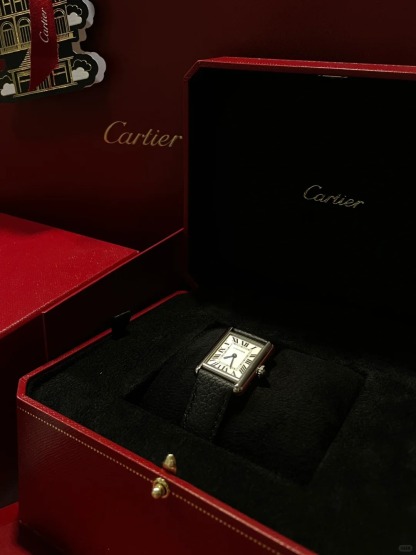 TANK MUST SOLARBEAT™ WATCH,SMALL MODEL