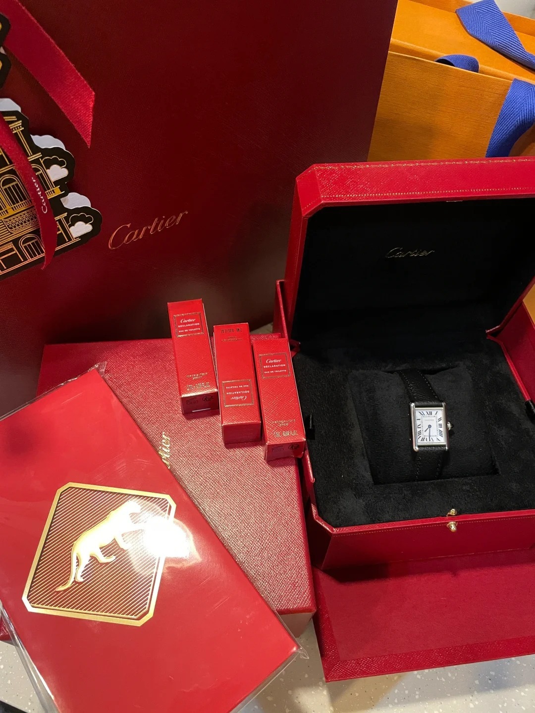 TANK MUST SOLARBEAT™ WATCH,SMALL MODEL