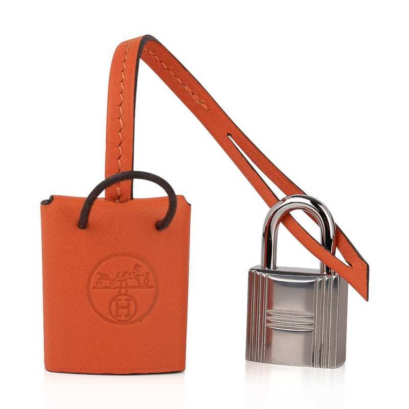 Birkin 20 Sellier Limited Edition Faubourg Bag with Palladium Hardware