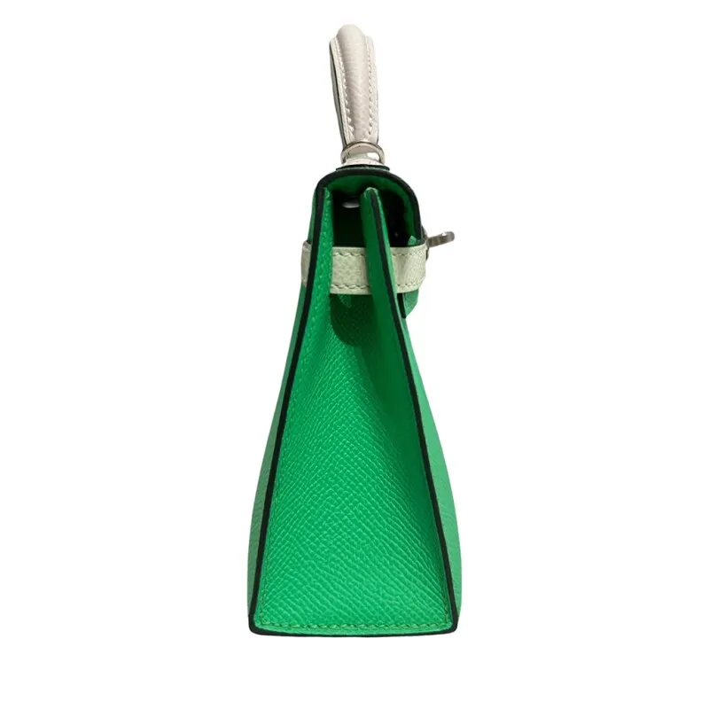 Herthtmes Vert Comics, Vert Fizz, and Gris Pale Epsom Tri-Color Mini Kelly 20 II Palladium Hardware