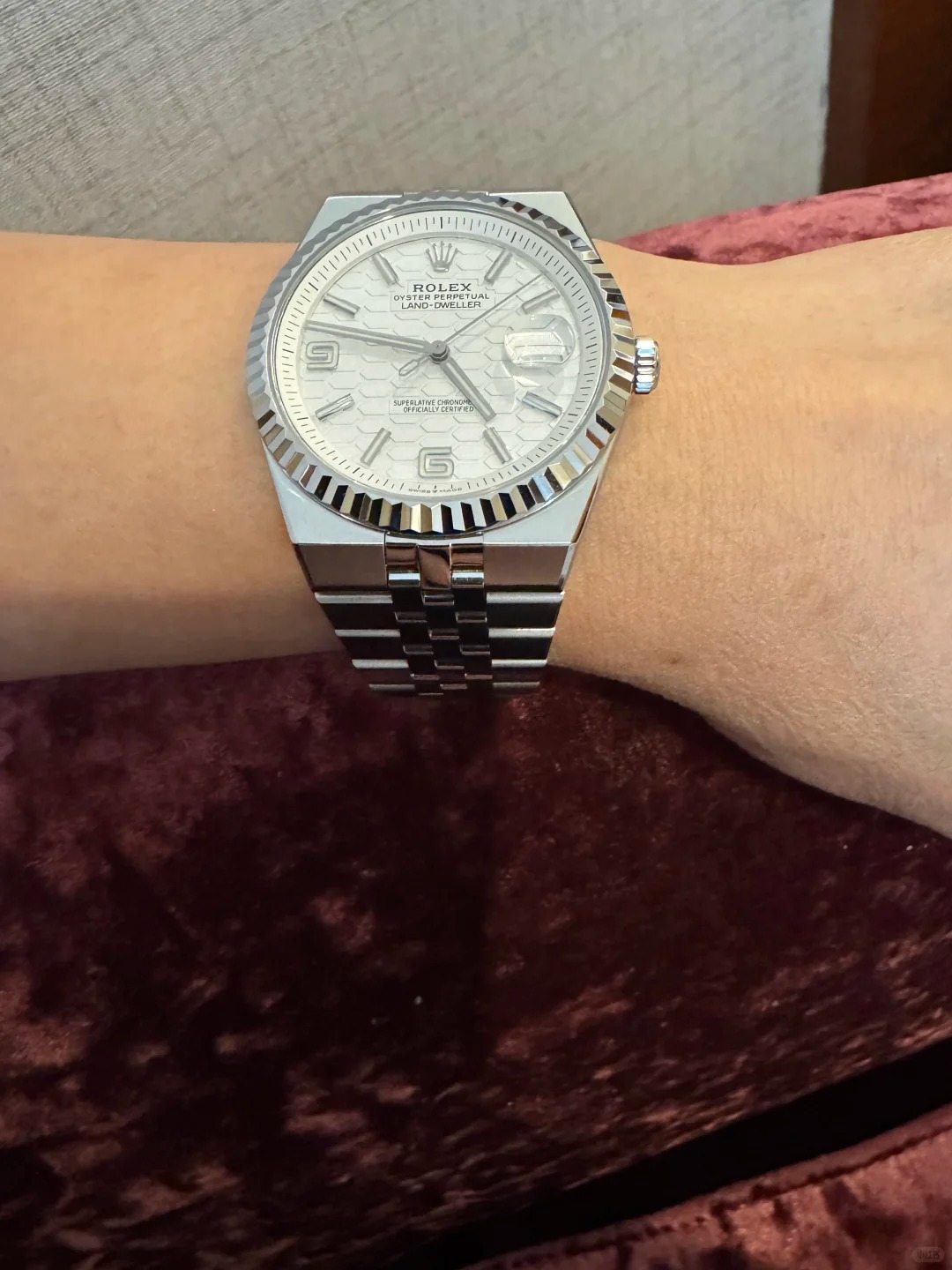 Land-Dweller 36, Oyster, 36 mm, platinum and diamonds  Reference 127286TBR