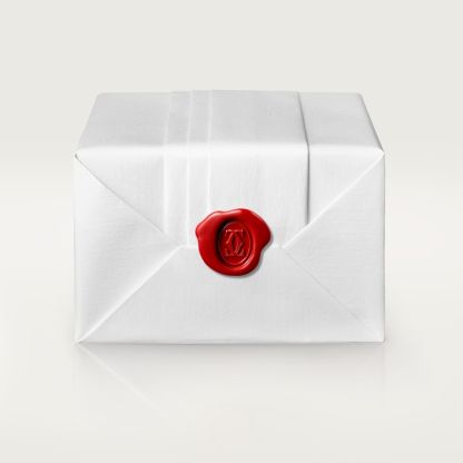 SANTOS-DUMONT WATCH LARGE MODEL