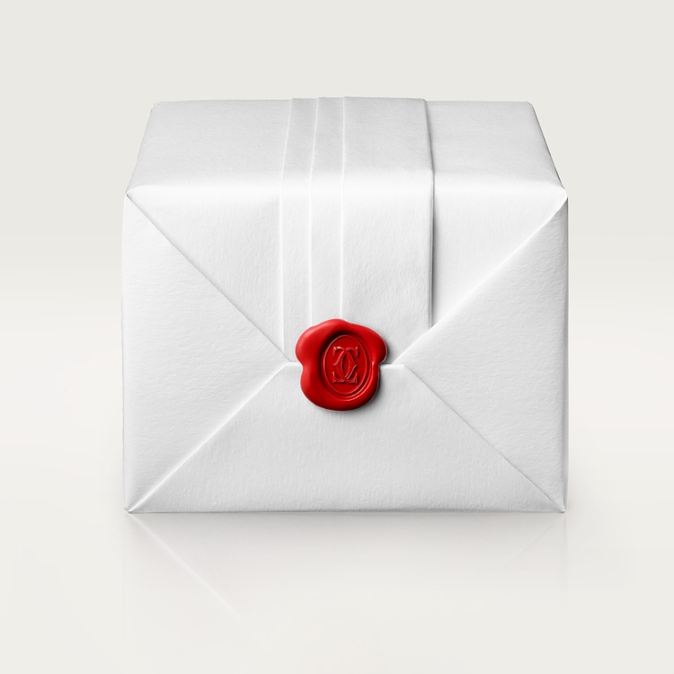 SANTOS DE WATCH MEDIUM MODEL  FOR WOMEN