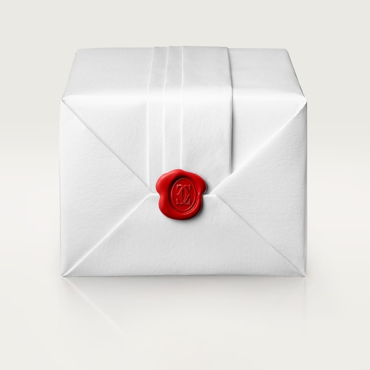 PANTHÈRE DE WATCH MEDIUM MODEL