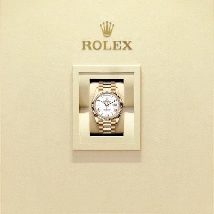 Day-Date 40 Oyster, 40 mm, yellow gold  Reference 228238-0042