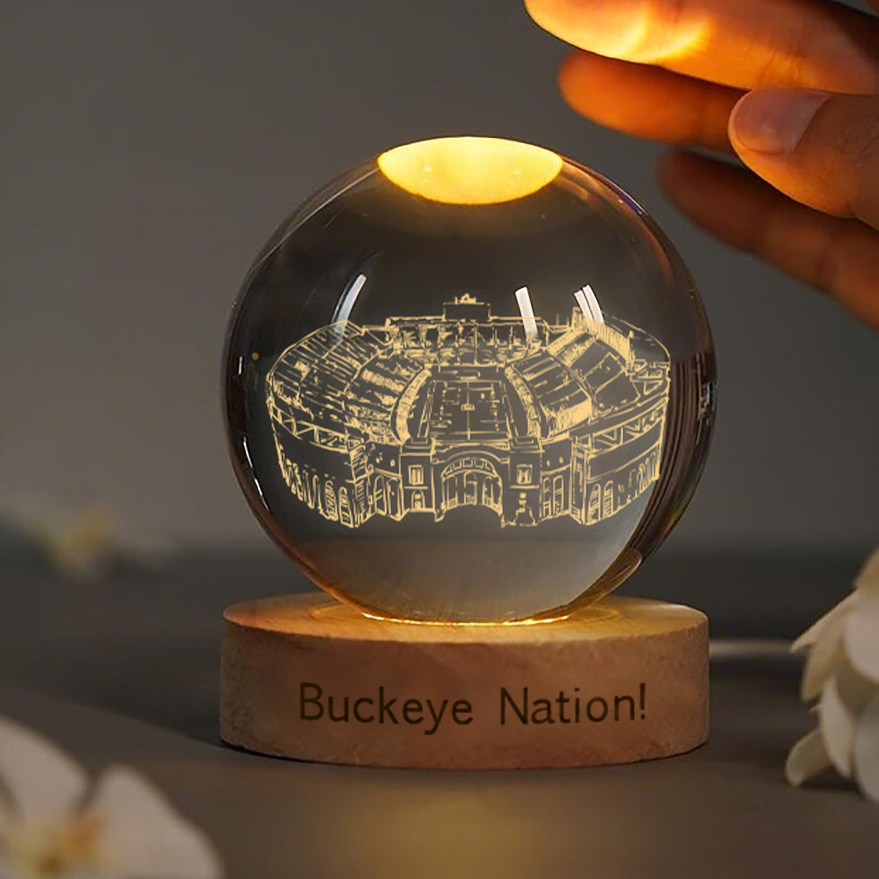 Ohio Stadium 3D Spherical Crystal Lamp