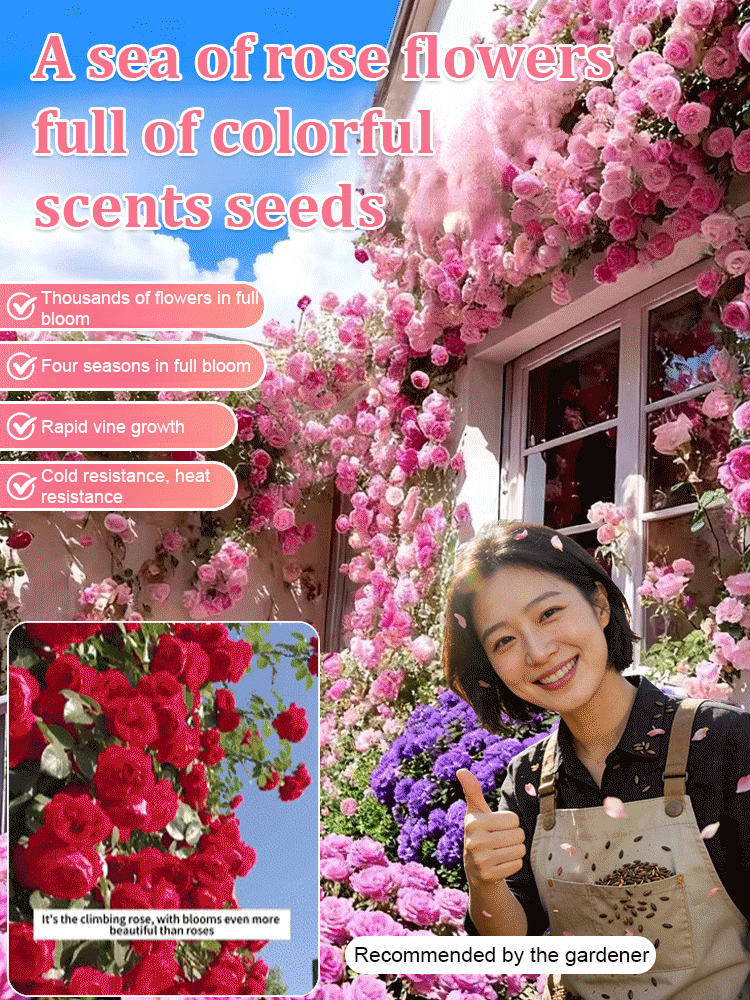 🌺 "Garden Ruby" – The Everblooming Climber That Outshines Roses ❄️ Winter-Hardy • Evergreen • 100% Growth Guarantee 🚀 A Sea of Blooms in Only 8 Weeks!