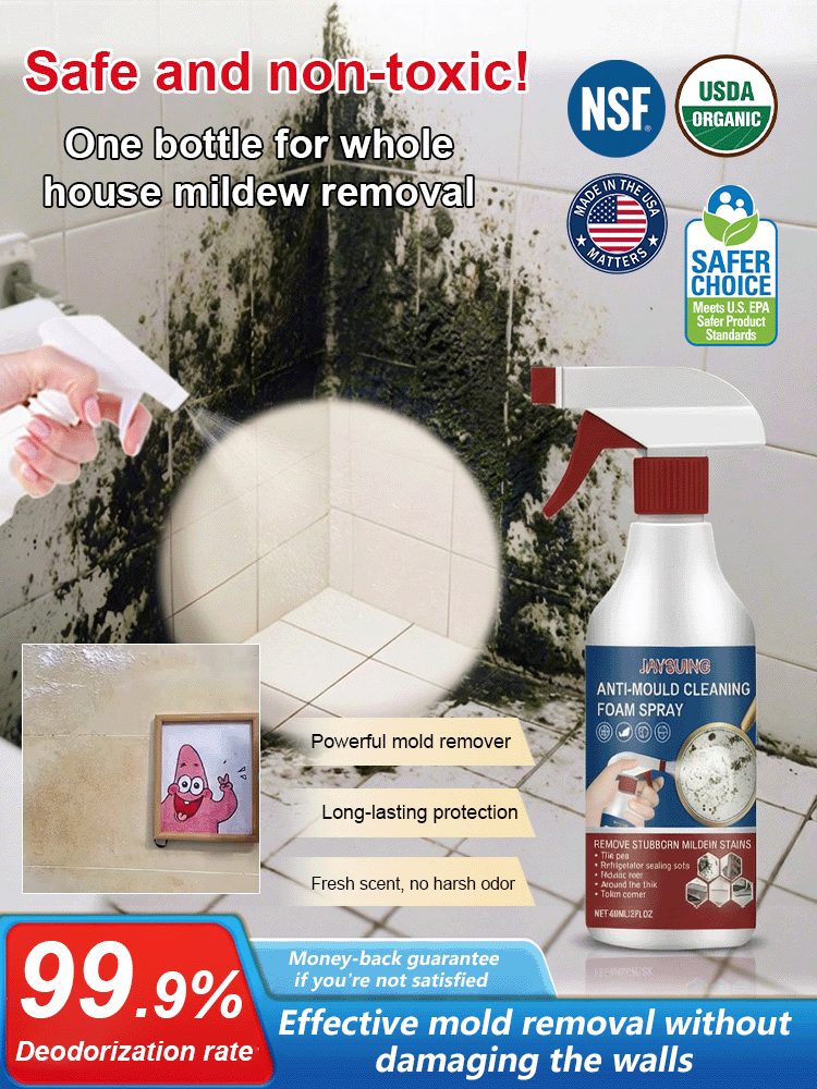 Foam Cleaning Mold Removal Spray