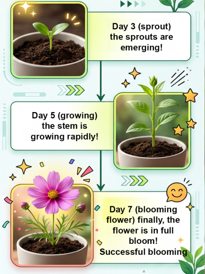 🌺 "Garden Ruby" – The Everblooming Climber That Outshines Roses ❄️ Winter-Hardy • Evergreen • 100% Growth Guarantee 🚀 A Sea of Blooms in Only 8 Weeks!