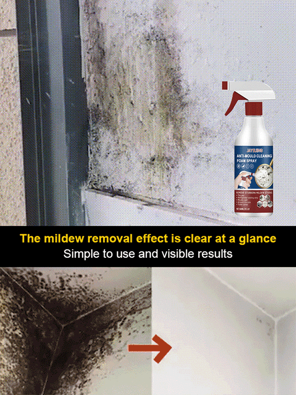 Foam Cleaning Mold Removal Spray