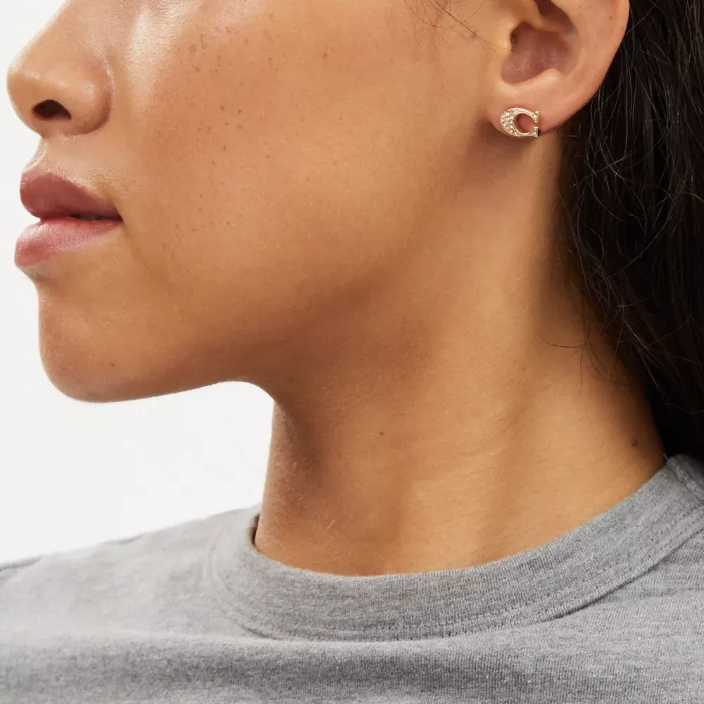 Signature Ice Cream Earrings Set