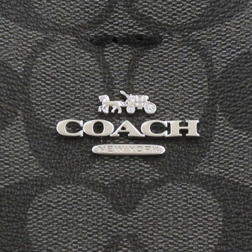 Coathtch Classic handbags