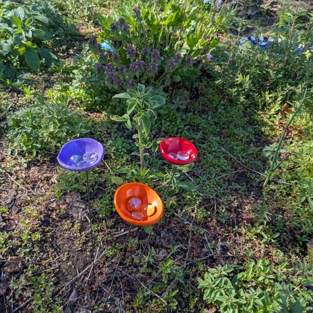 Glenna Rhodes added a photo of their purchase