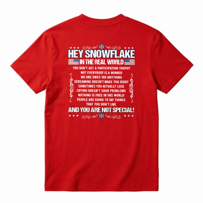 Hey Snowflake In The Real World T-shirt
