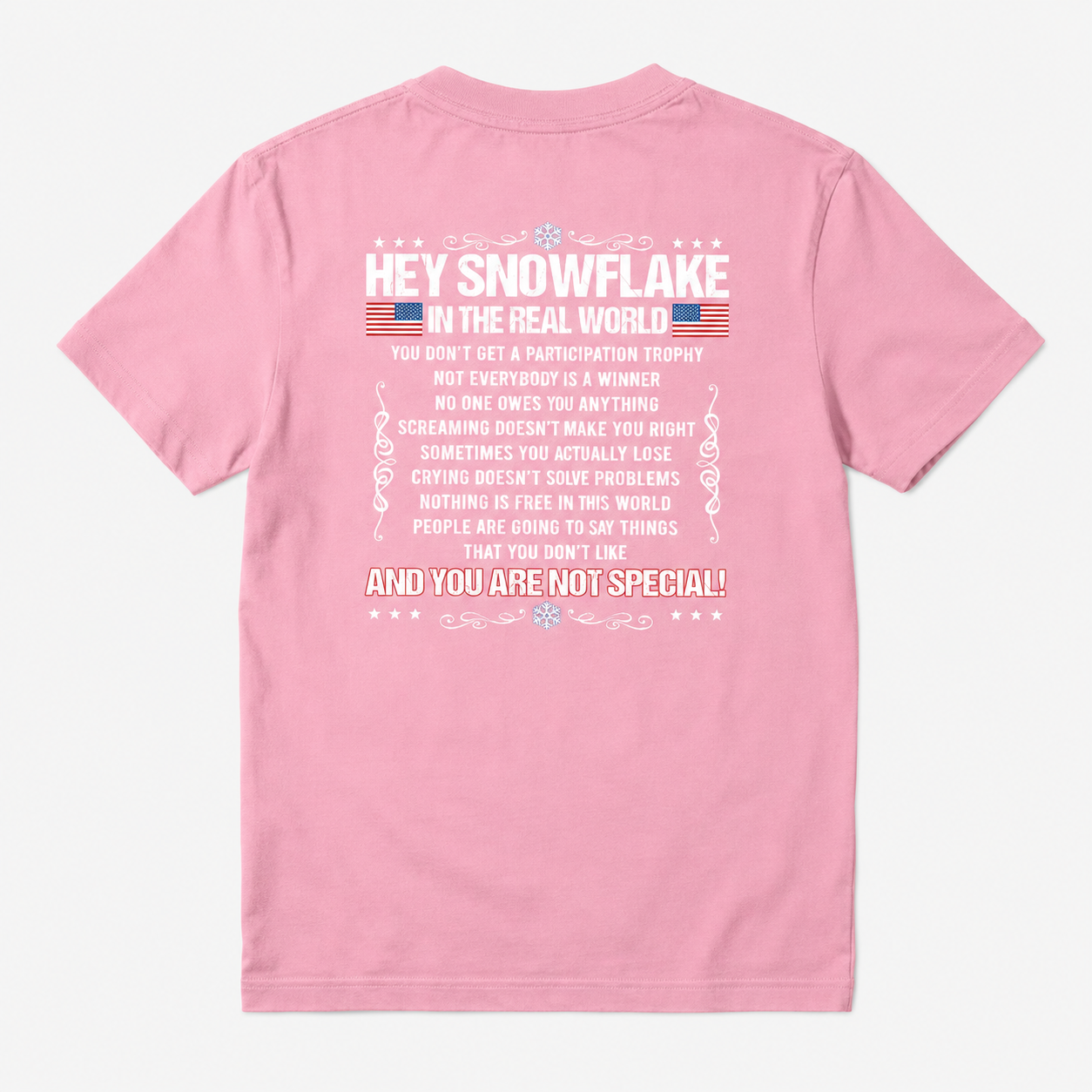 Hey Snowflake In The Real World T-shirt