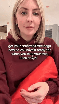 🎒Christmas Tree Durable Waterproof Storage Bag