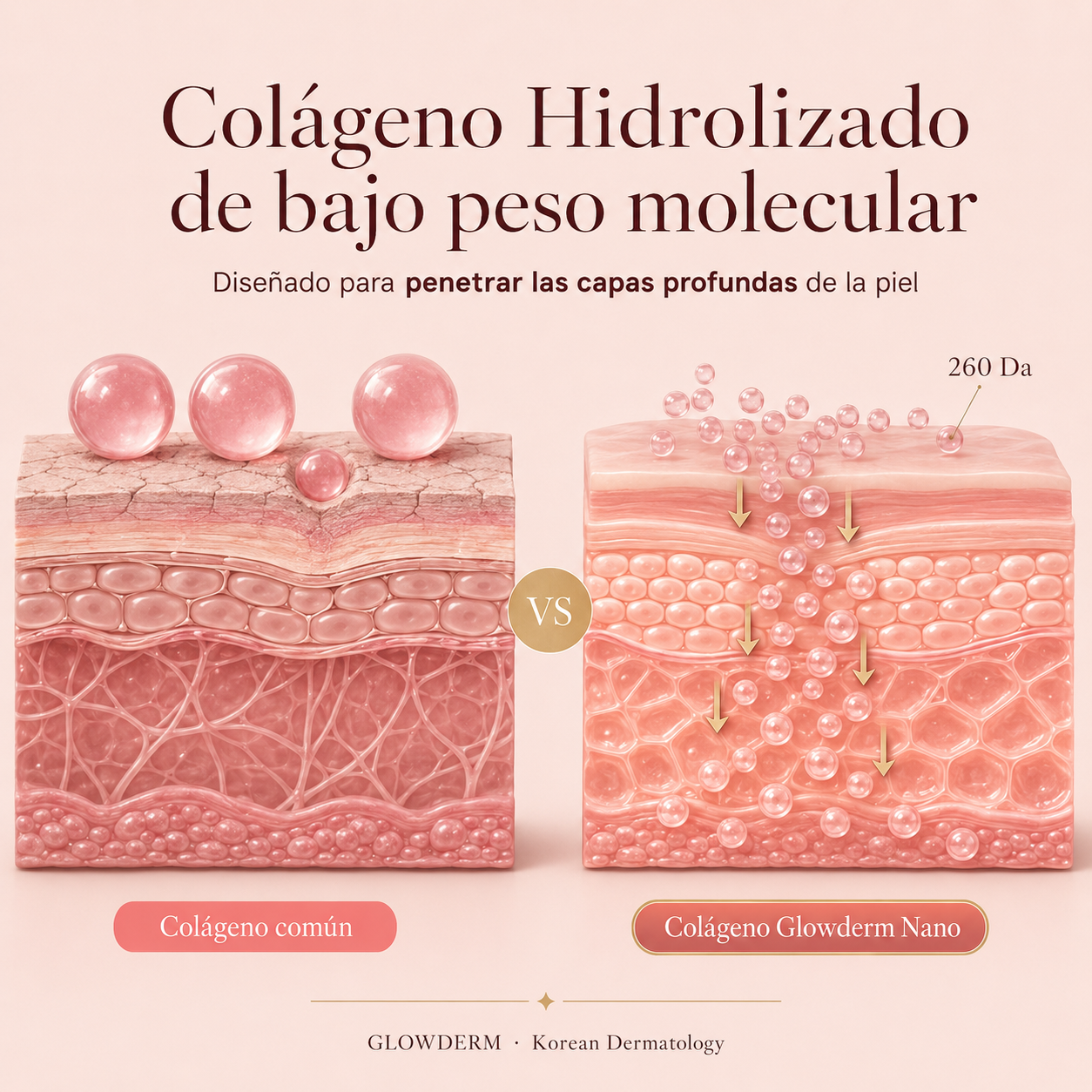 CREMA ANTIARRUGAS COREANA