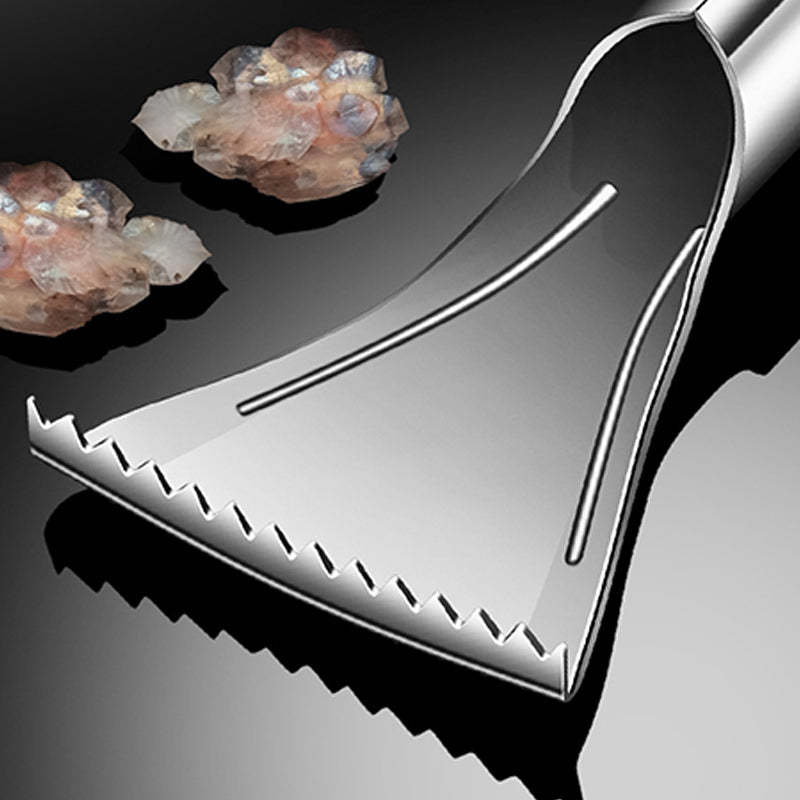 🔥  Sharp Stainless Steel Fish Scale Remover