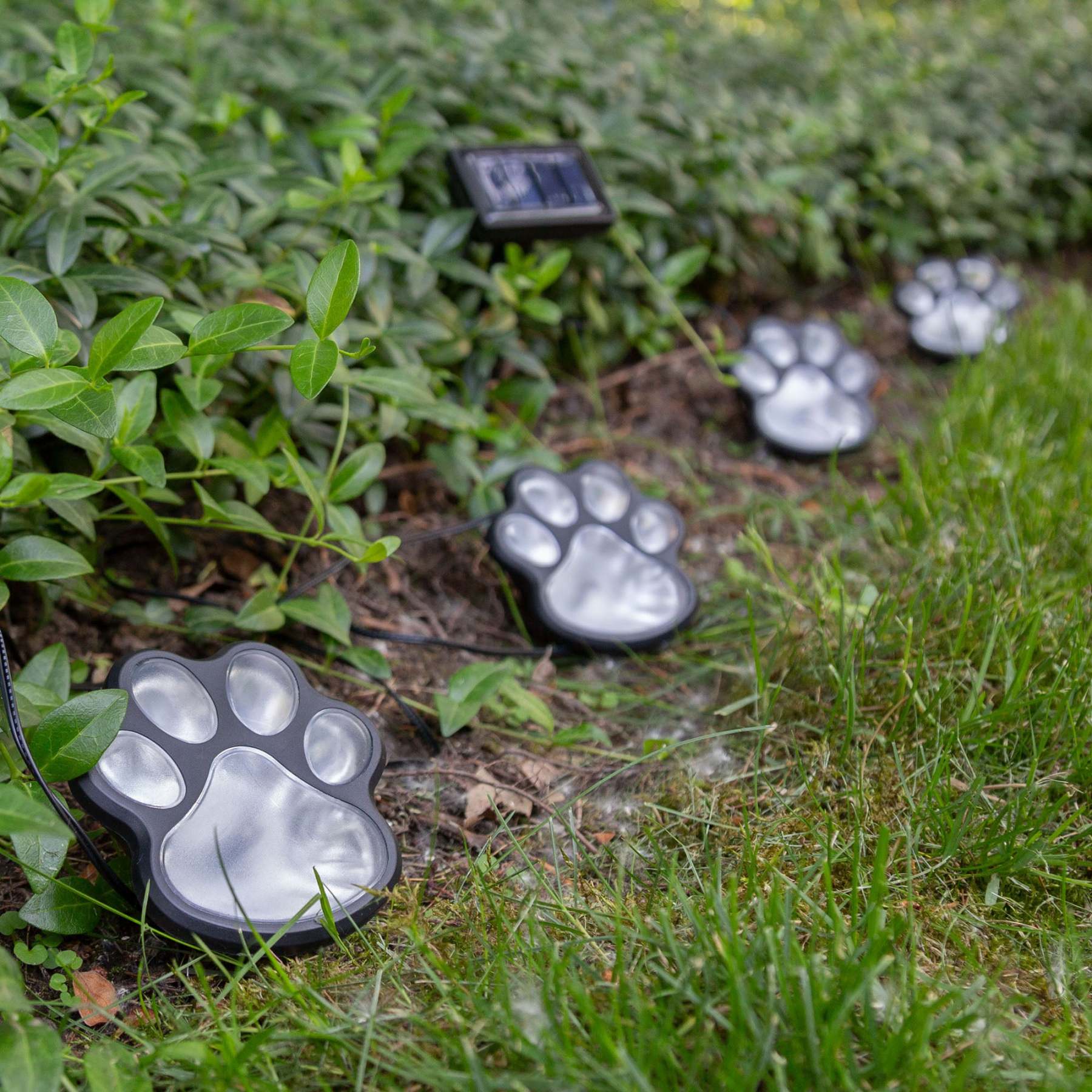Paw Print Solar Ground Lights - Set of 4
