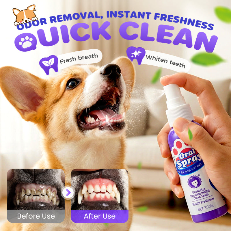 🔥2026 New Arrivals: 50% Off for a Limited Time!🔥Teeth Cleaning Spray