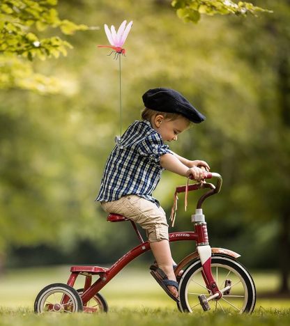 2026 Summer Hot Sale🔥 49% OFF-Dragonfly Clip Bug Repellent