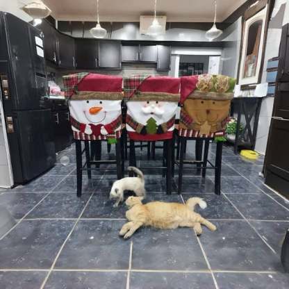 🔥This Week Special Price 57% OFF🌟💥Cute Christmas Themed Chair Cover🎄