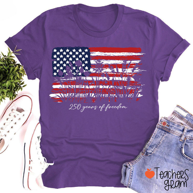 Land Of The Free Home Of The Brave Teacher T-Shirt