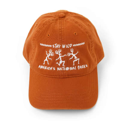 Stay Wild Dad Hat