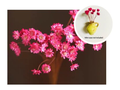 🌸🏺Handmade Mini Ceramic Vase – Refrigerator Magnet | Decorative Flower Vase for Home | 30% Off🌸