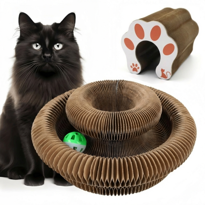 Magic Cat Scratch Organ Board Cat Toy – Fun Ball & Corrugated Claw Climbing Frame