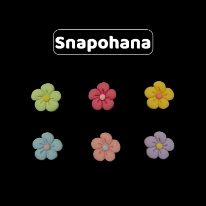 Snapohana Magnetic Jewelry Accessories