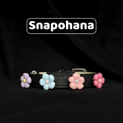 Snapohana Magnetic Jewelry Accessories