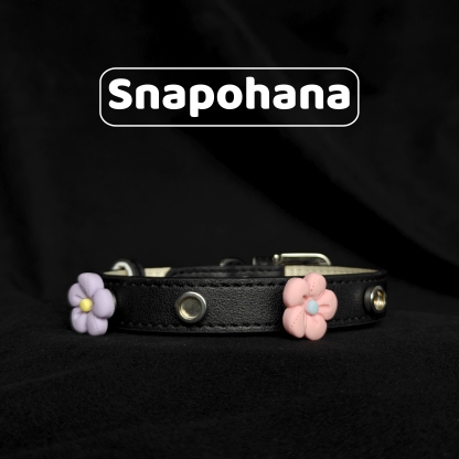 Snapohana Magnetic Jewelry Accessories