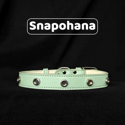 Snapohana DIY Collar Set