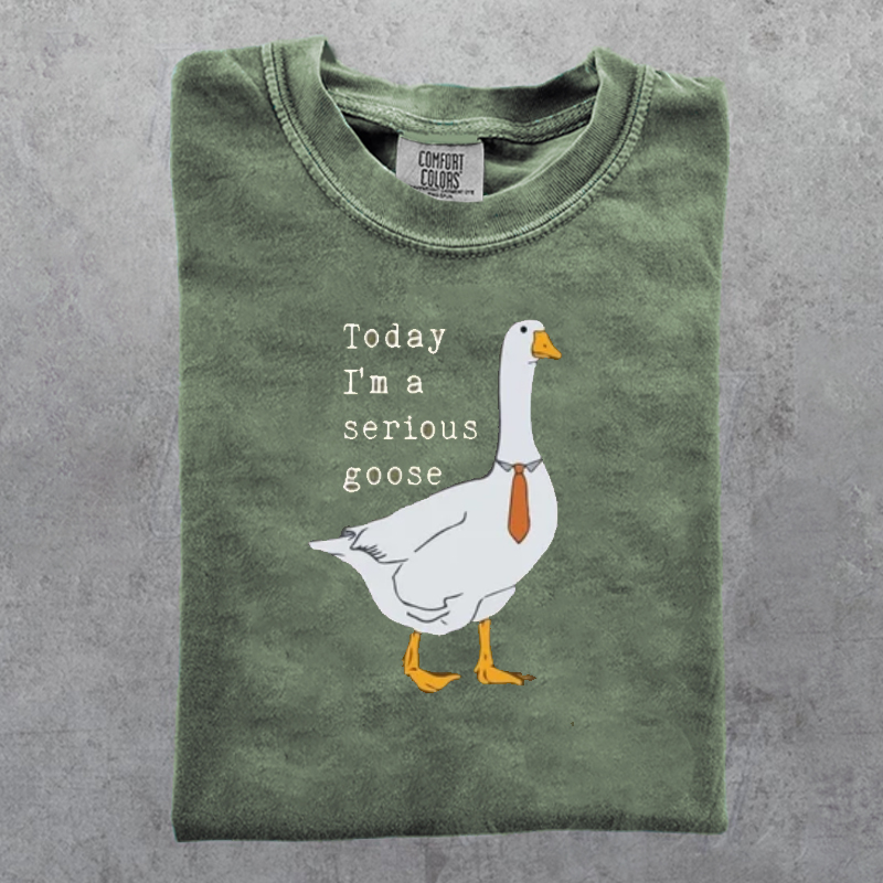 Today I'm A Serious Goose T-shirt-Lulueye