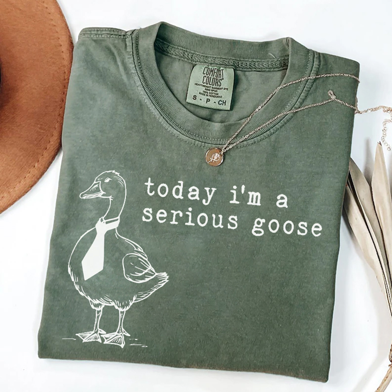  Today I'm a Serious Goose T-Shirt-Lulueye