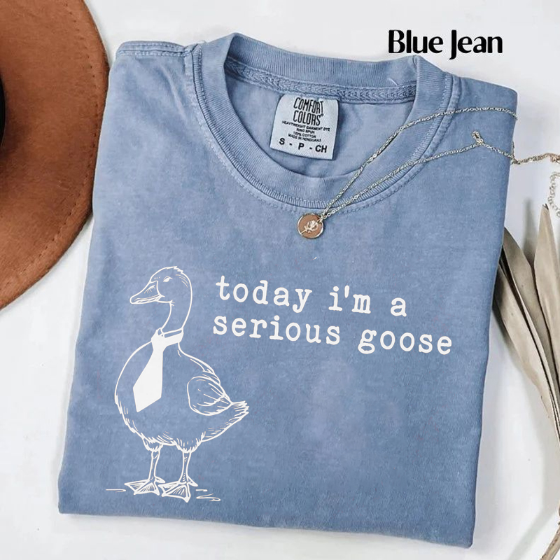  Today I'm a Serious Goose T-Shirt-Lulueye