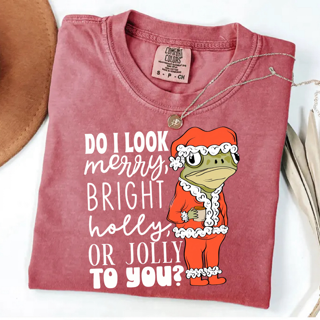Do I look Merry, Bright, Holly or Jolly to you? Christmas T-shirt