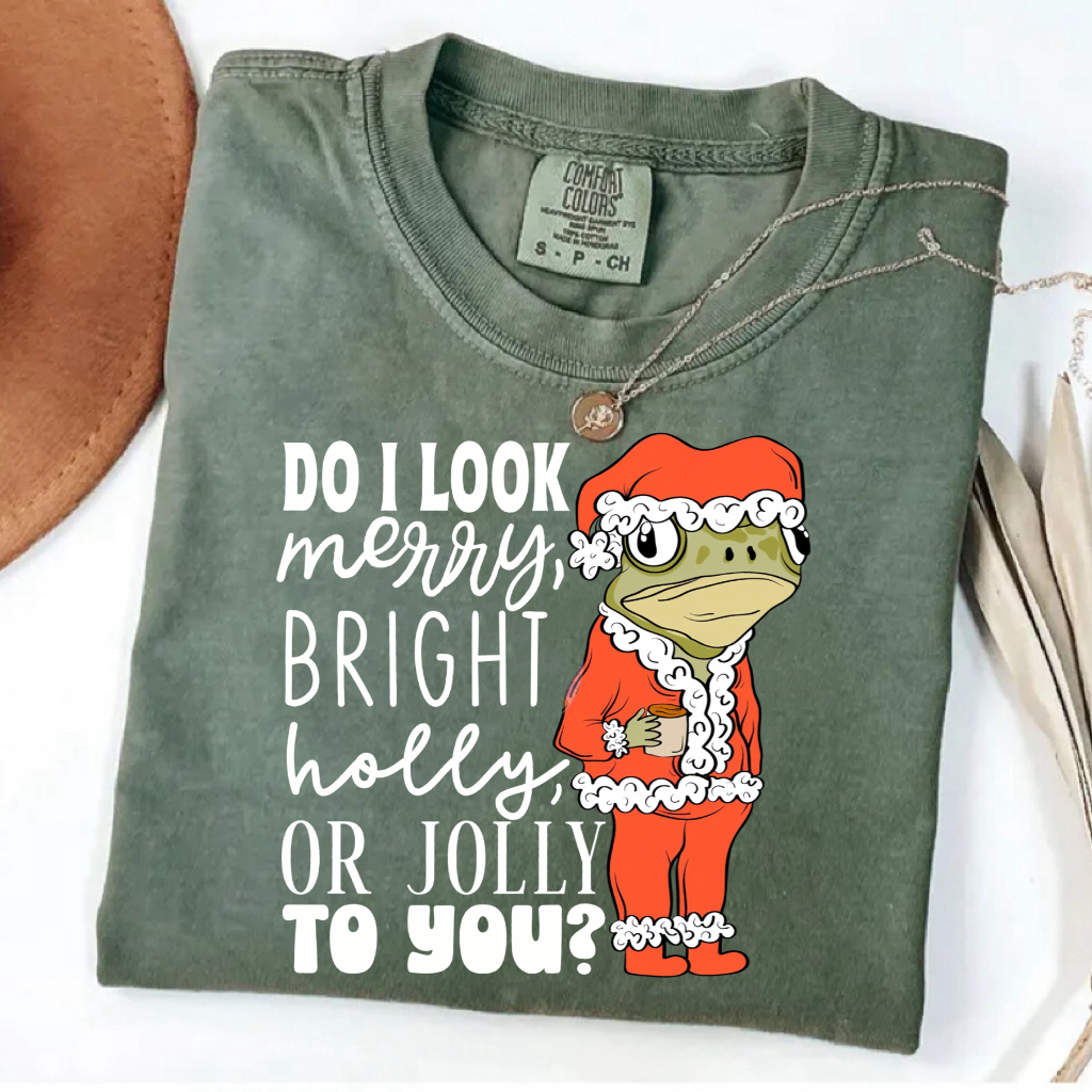 Do I look Merry, Bright, Holly or Jolly to you? Christmas T-shirt