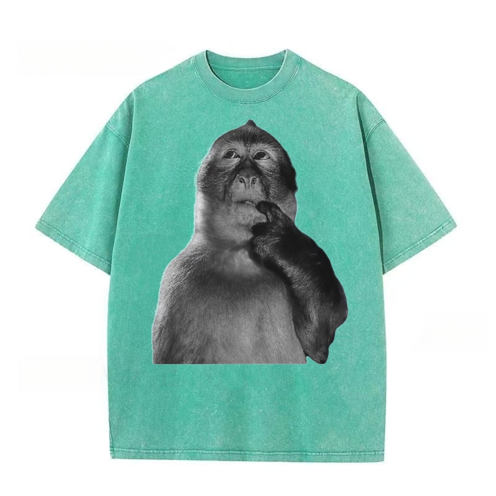 Funny Monkey Stupid Meme Washed T-shirt