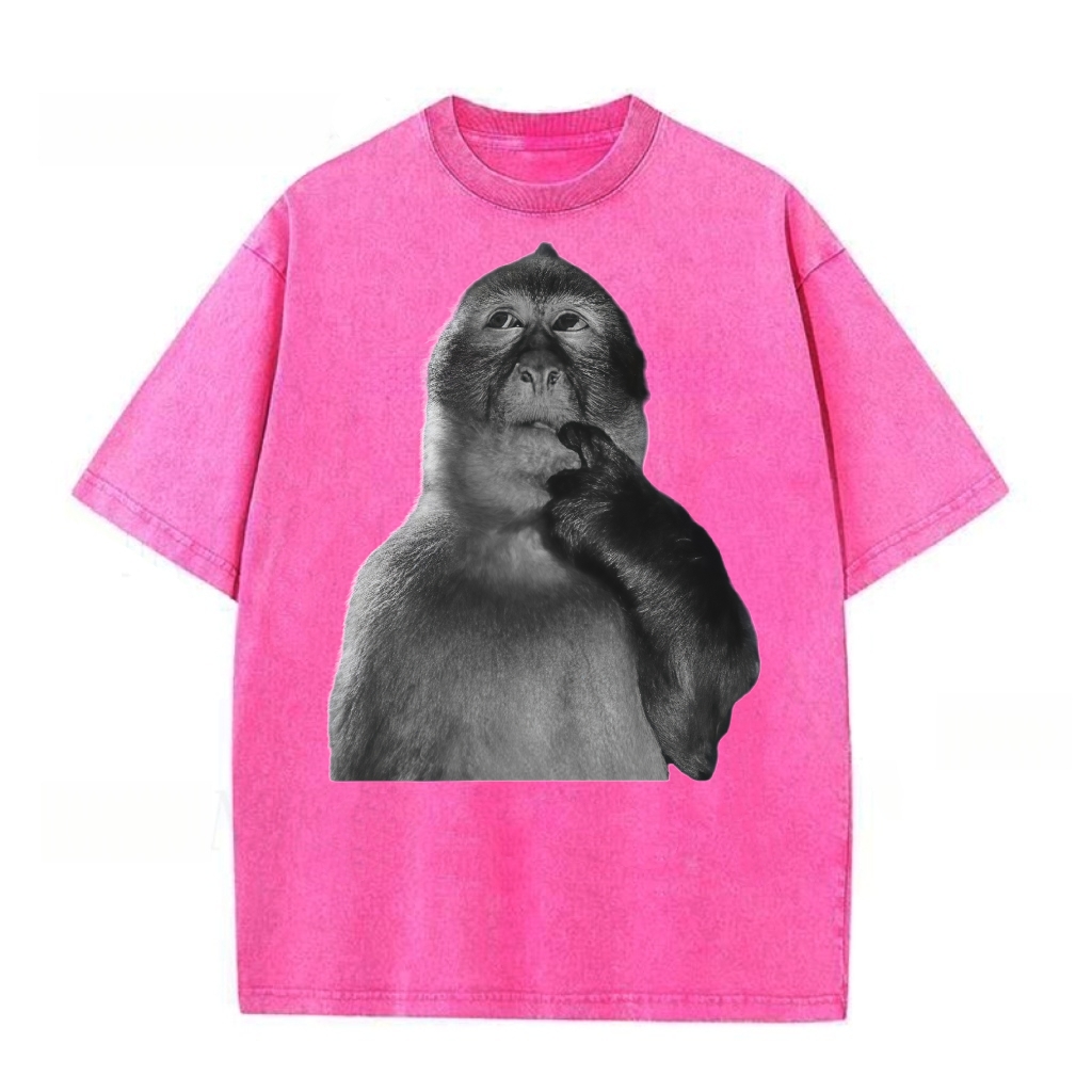 Funny Monkey Stupid Meme Washed T-shirt