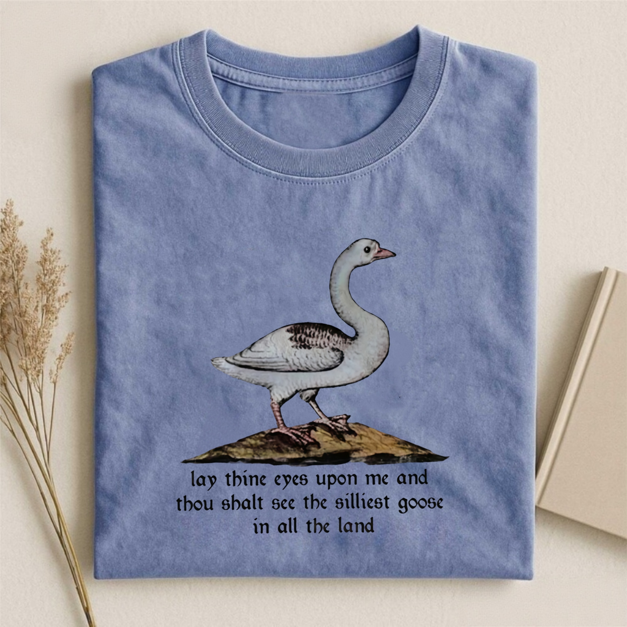 Silly Goose Medieval Meme T-shirt