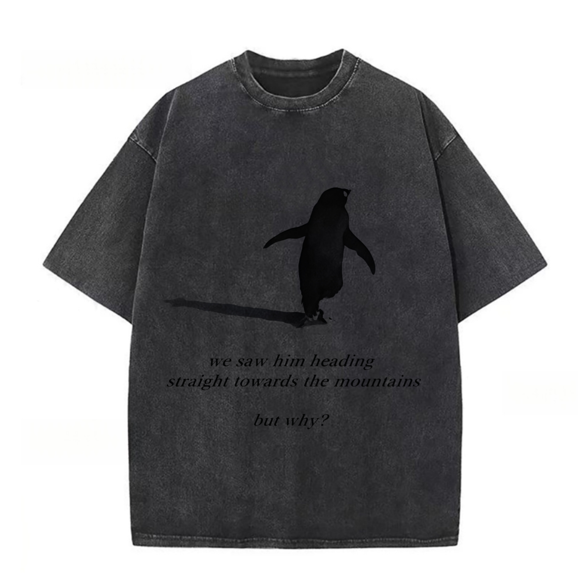 But Why Penguin Graphic T-shirt
